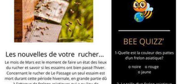 Le rucher de notre commune